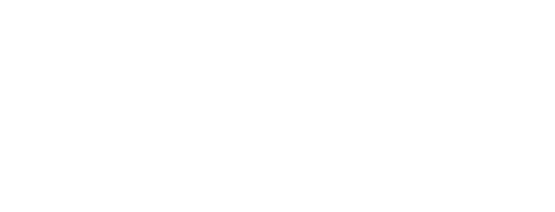 Staner